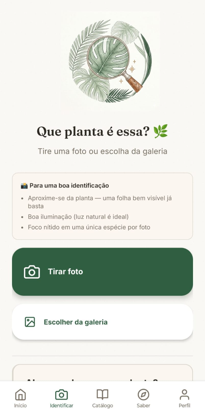 Tela do PomarApp: identificação de planta por foto